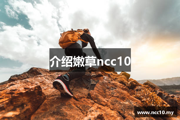介绍嫩草ncc10
